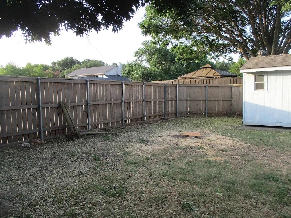 Cleared yard after professional tree removal in Sunnyvale